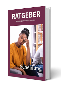 ratgeber scheidung